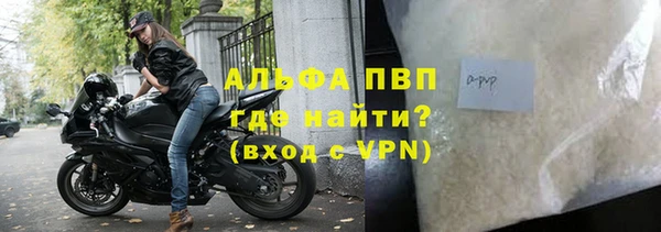 шишки Дмитров