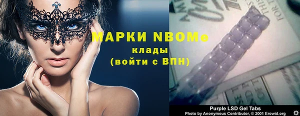 прущие грибы Елизово