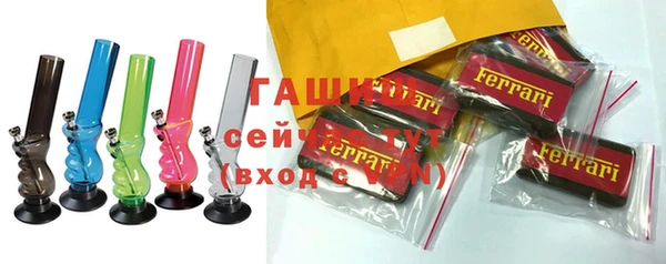 прущие грибы Елизово