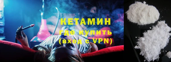 прущие грибы Елизово