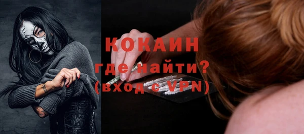 прущие грибы Елизово