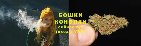 прущие грибы Елизово