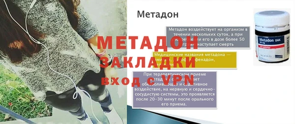 прущие грибы Елизово