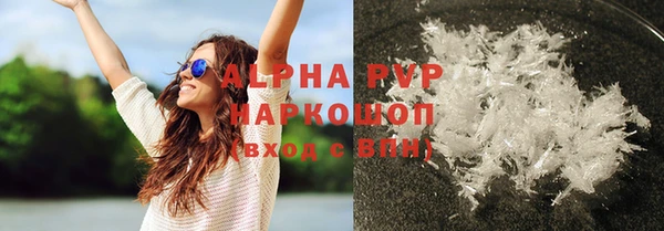 прущие грибы Елизово