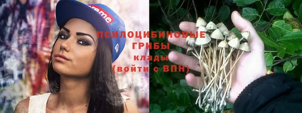 бутират Ельня